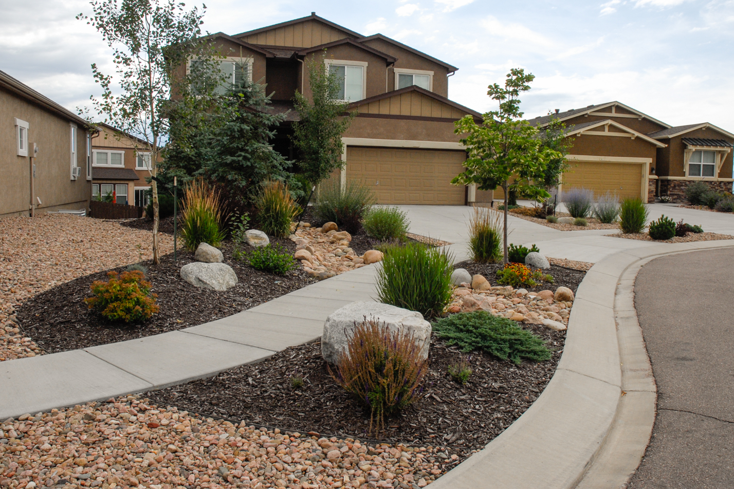 Mountain Motif Xeriscape